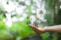 Arrêtons de tout focaliser sur la réduction des émissions de CO2 et pensons (aussi et surtout) à nous ADAPTER !