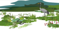 Pourquoi doit-on prendre soin de la biodiversité ?